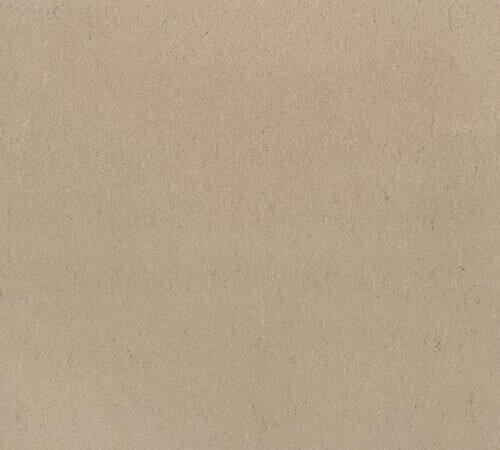 Boletus Seta belenco kuvars